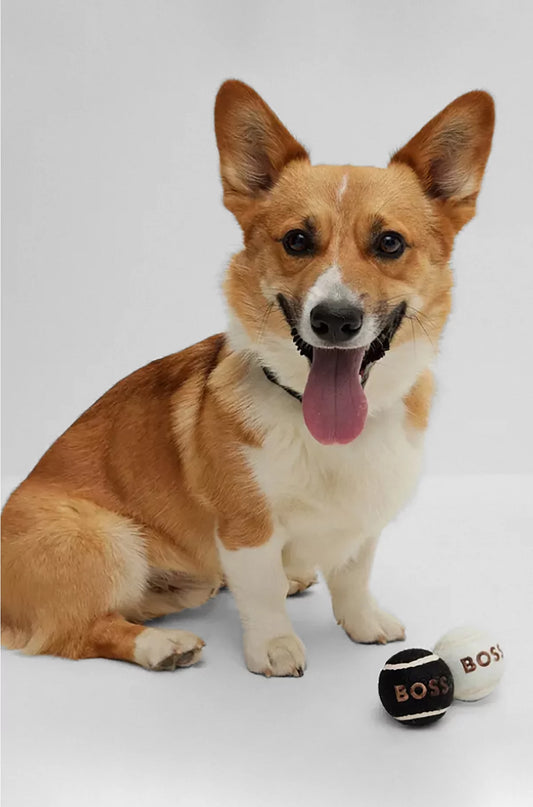DOG BALL SET