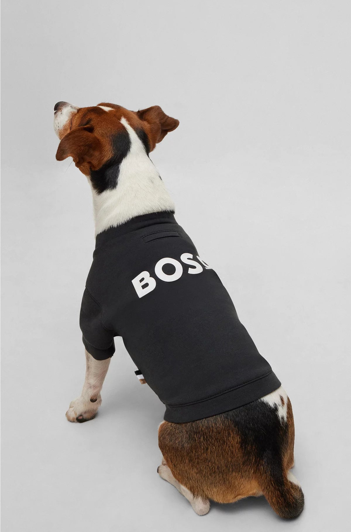 DOG T-SHIRT IN COTTON-BLEND JERSEY