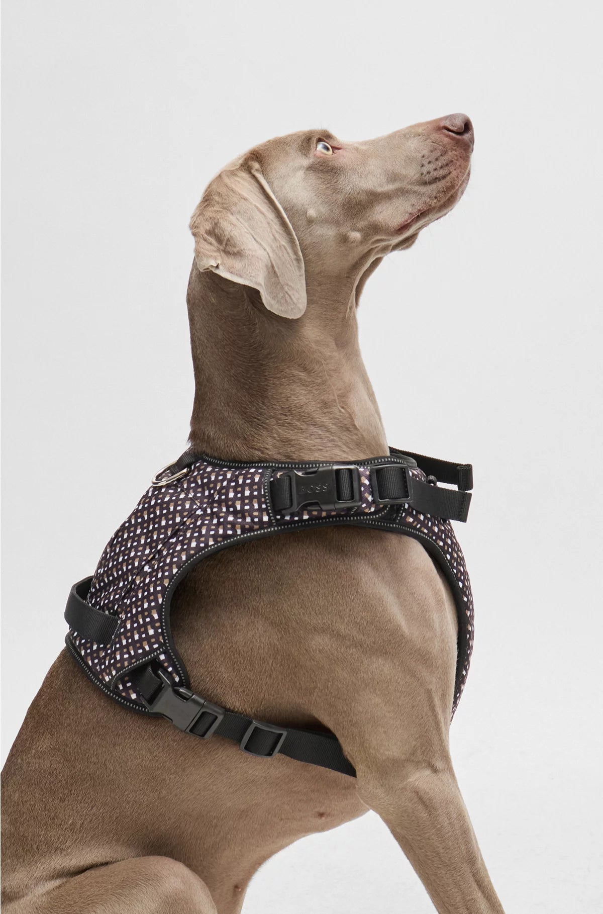 DOG MESH-LINED HARNESS WITH MONOGRAM PATTERN