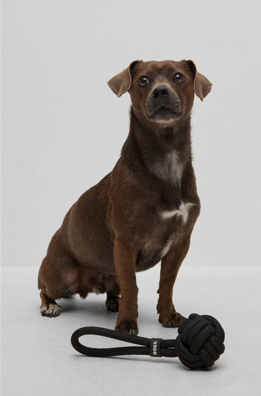 DOG ROPE BALL TOY