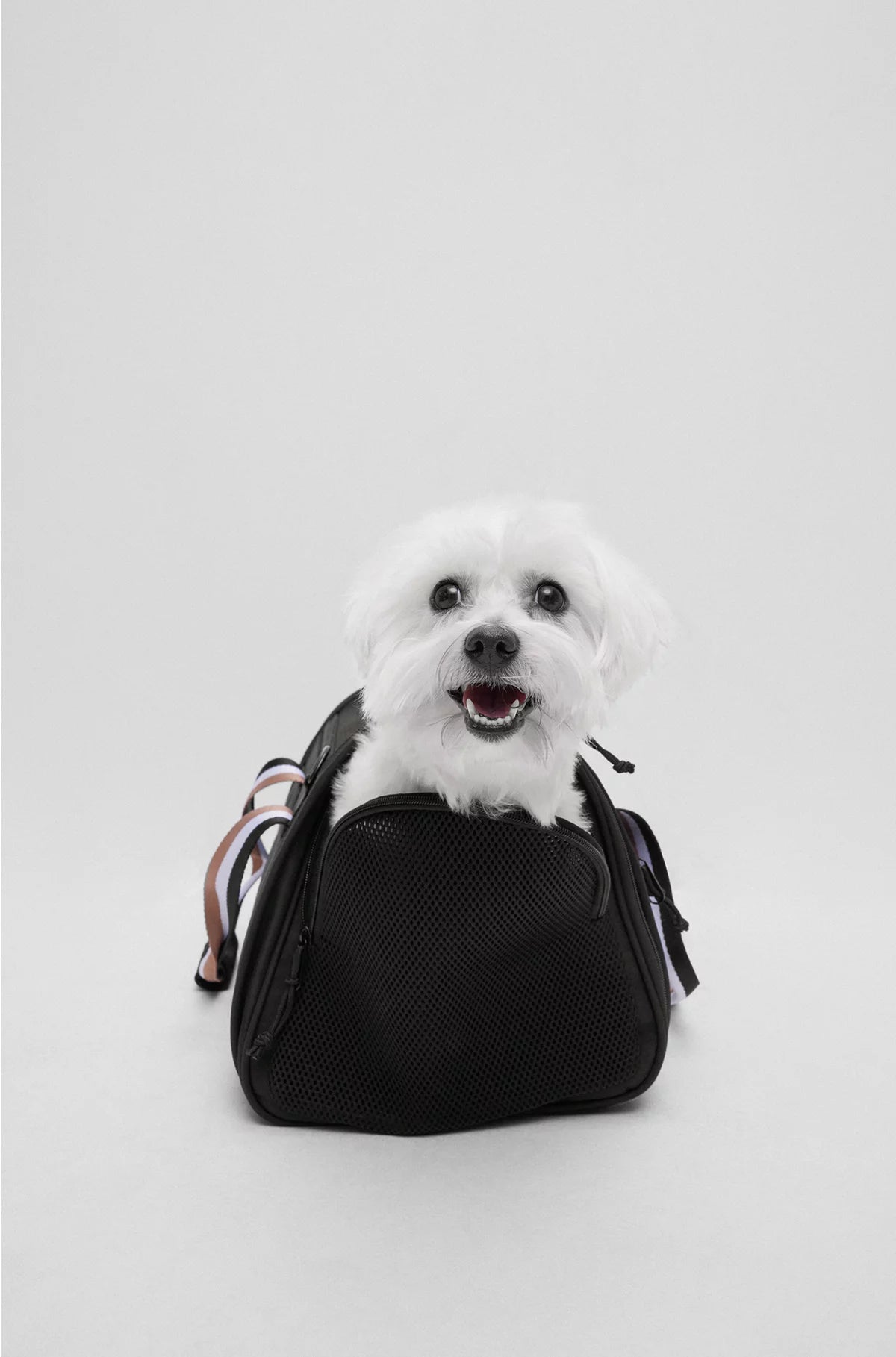 DOG TRAVEL BAG WITH QUILTED MAT