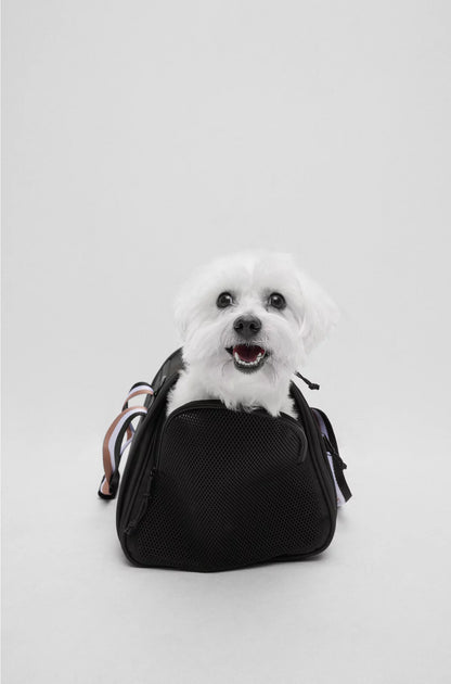 DOG TRAVEL BAG WITH QUILTED MAT