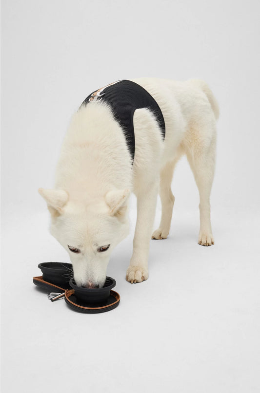 COLLAPSIBLE DOG BOWLS IN SILICONE WITH ZIP-UP CASE