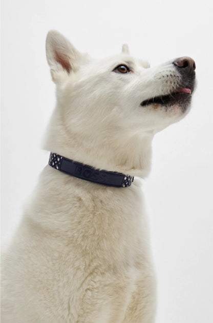 DOG COLLAR WITH METAL HARDWARE