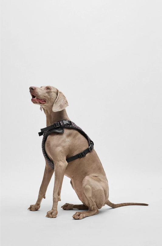 DOG MESH-LINED HARNESS WITH MONOGRAM PATTERN