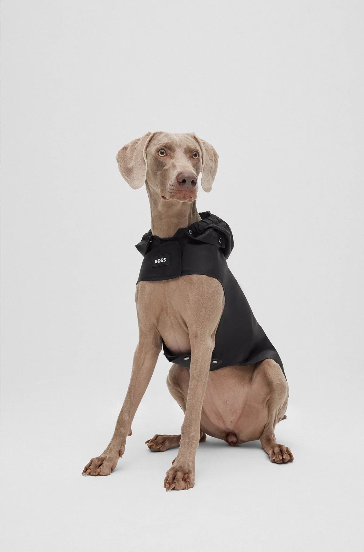 DOG RAINCOAT IN WATERPROOF FABRIC WITH CONTRAST LOGO