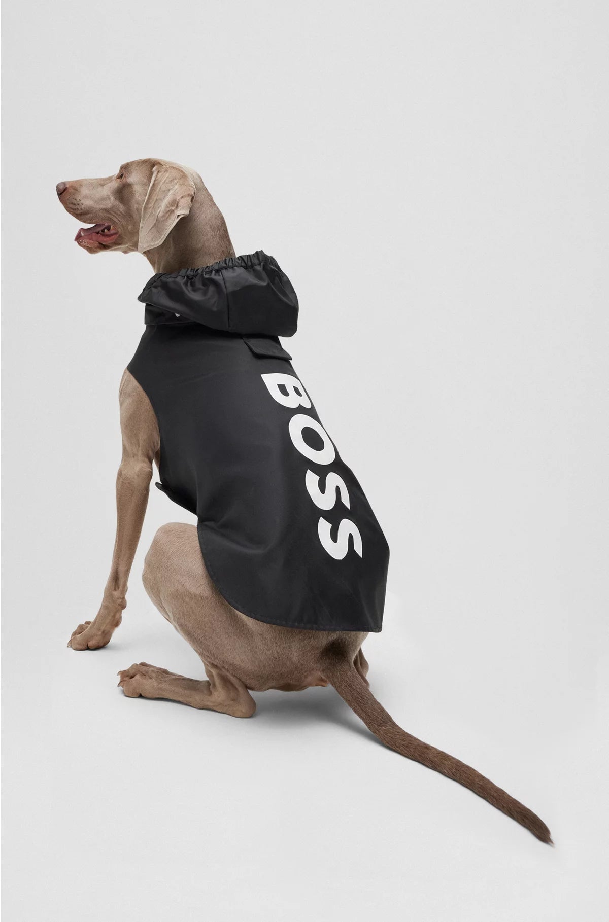 DOG RAINCOAT IN WATERPROOF FABRIC WITH CONTRAST LOGO