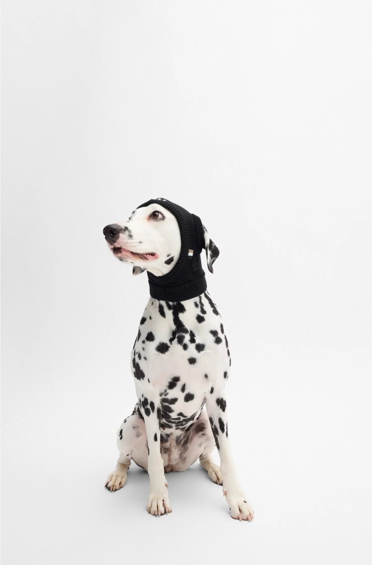 KNITTED DOG HAT WITH DOUBLE B MONOGRAM