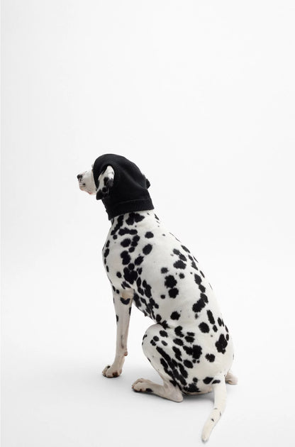 KNITTED DOG HAT WITH DOUBLE B MONOGRAM