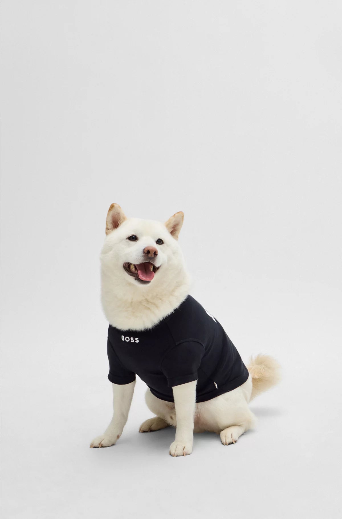 DOG T-SHIRT IN COTTON WITH LOGO PRINT